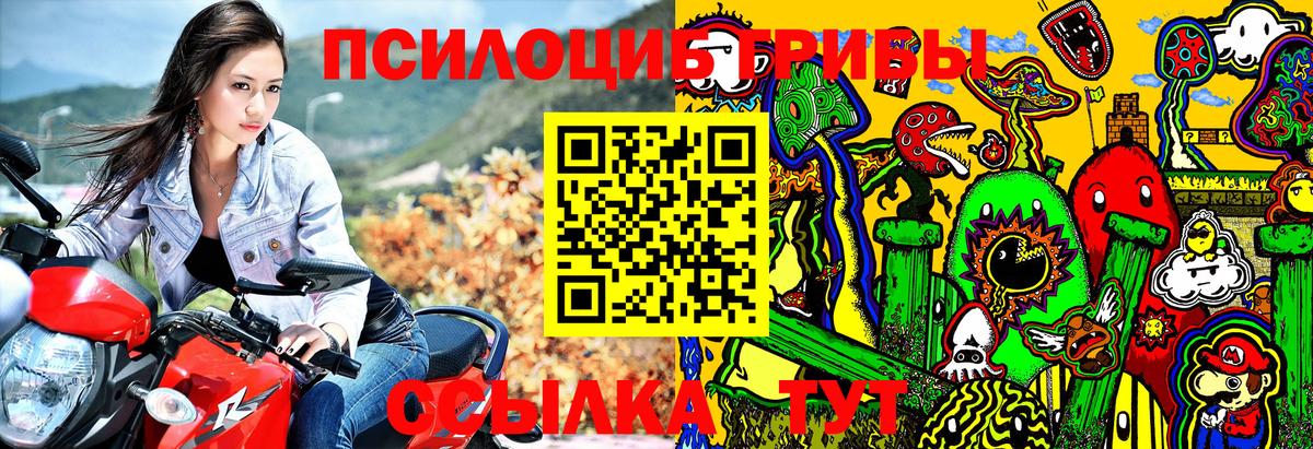 Псилоцибиновые грибы GOLDEN TEACHER Киров