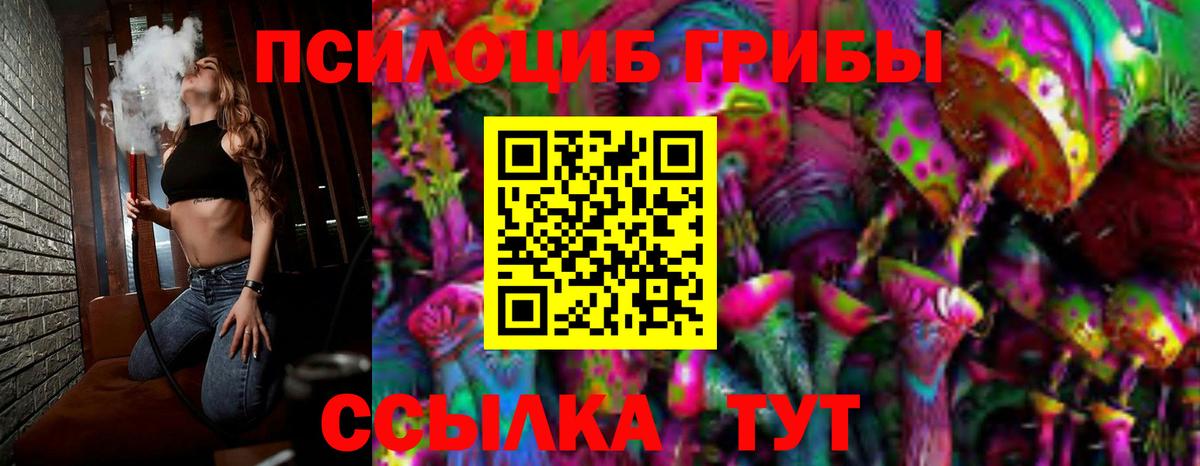 Киров  Галлюциногенные грибы MAGIC MUSHROOMS  дарнет шоп  Вход с VPN 